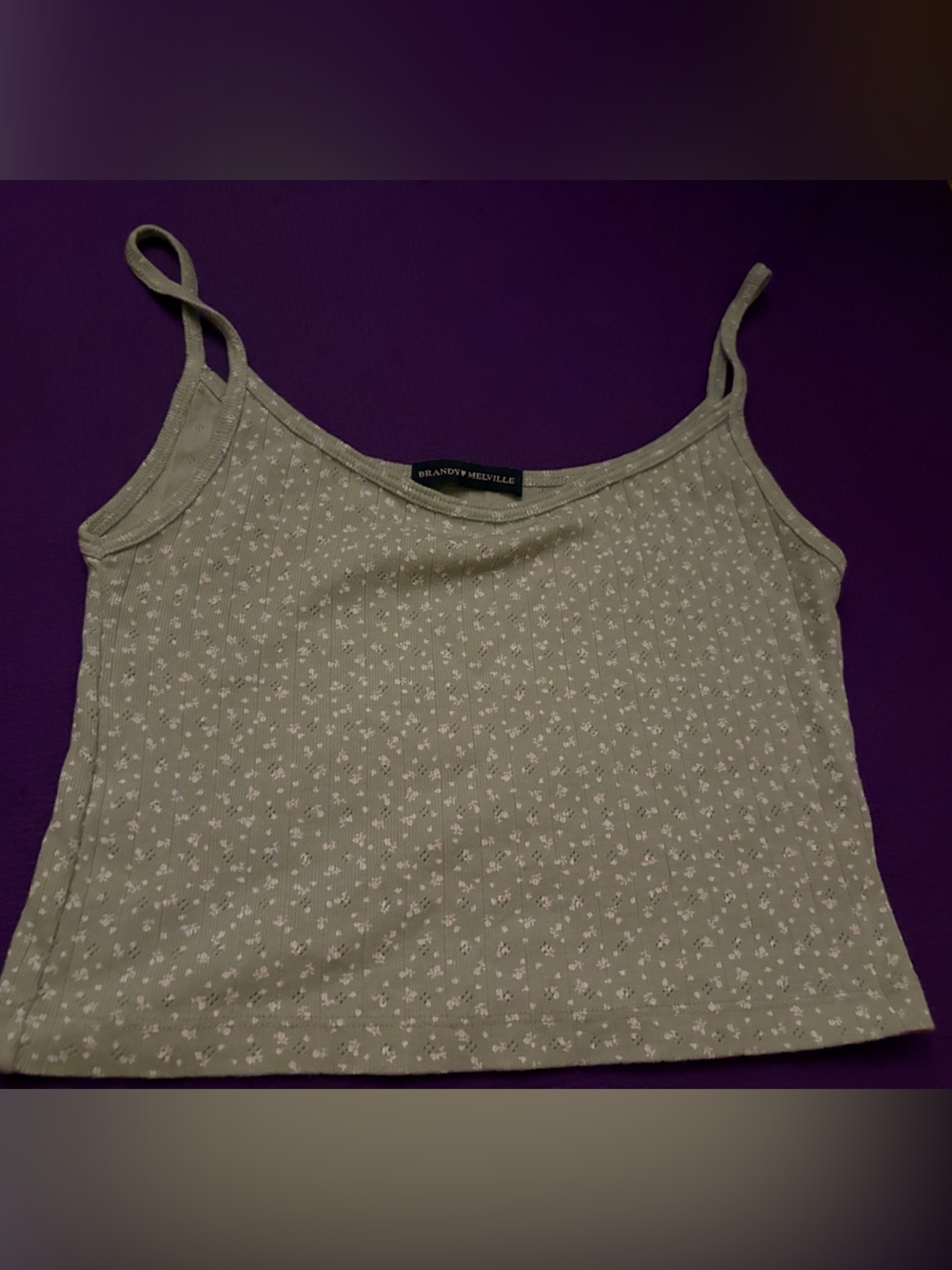 Brandy Melville Sage Green Floral Cami